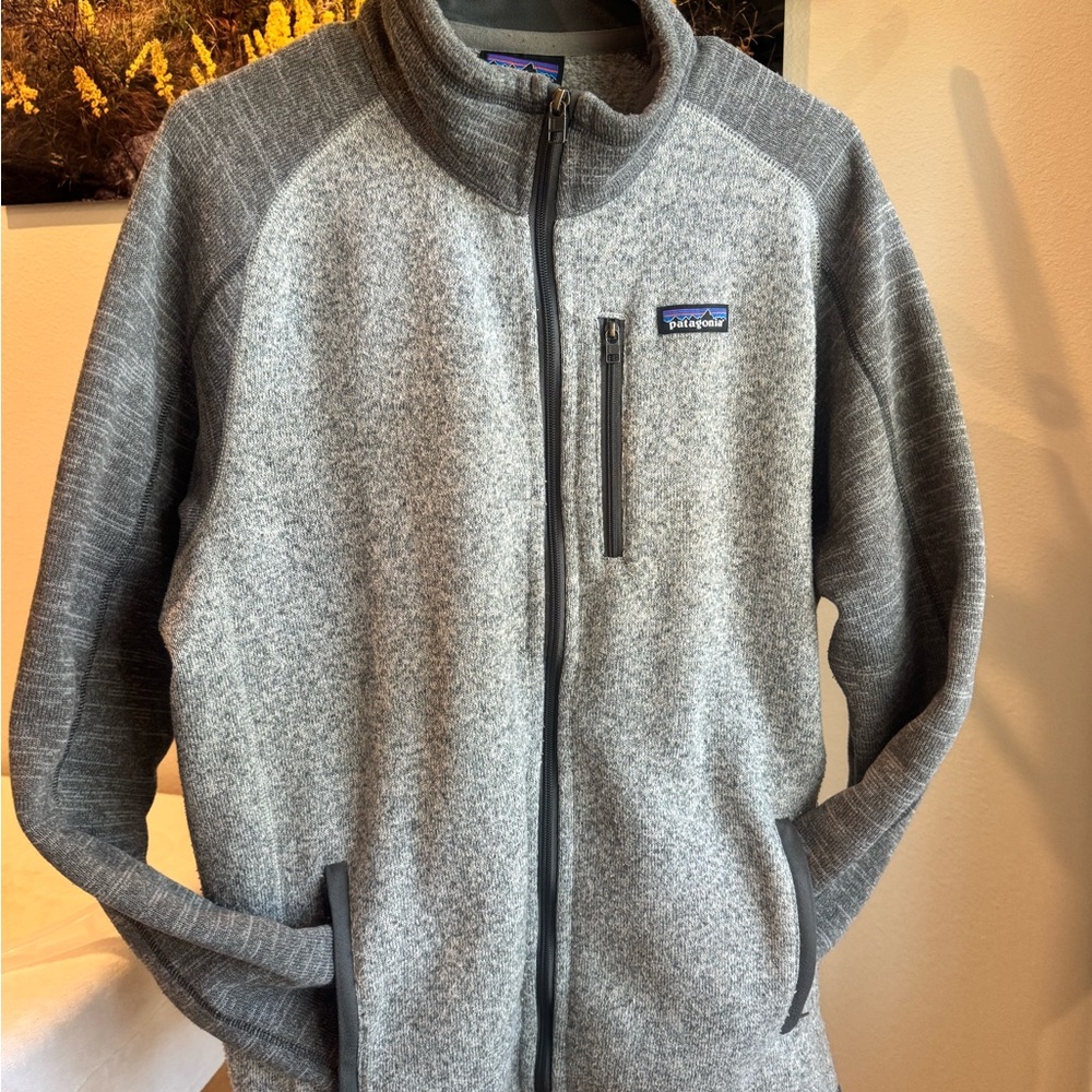 Patagonia Men’s Light Gray and Dark Gray Full-Zip Fleece Jacket